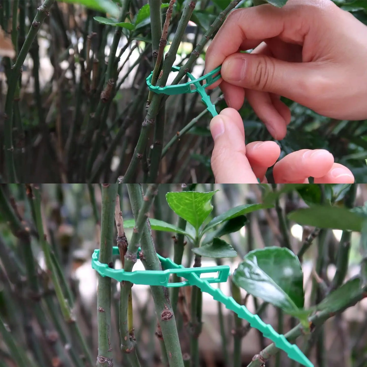 Garden Plant Support Cable Ties