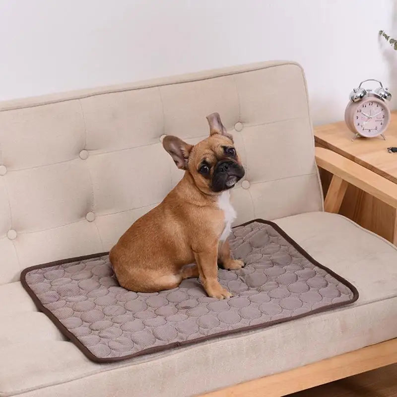 Dog Summer Cooling Mat