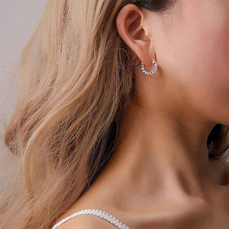 Full Paved Crystal CZ Hoop Earrings