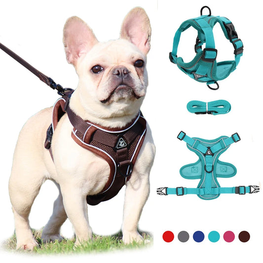 Dog Adjustable Harness Leash Set